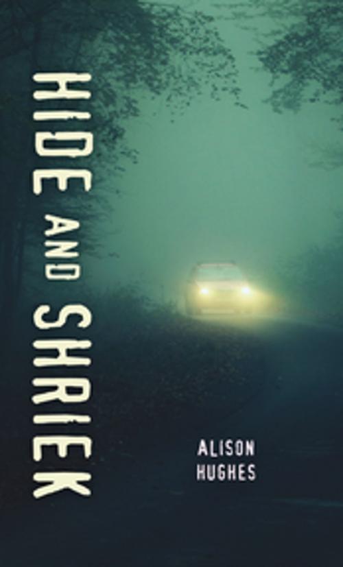 Cover of the book Hide and Shriek by Alison Hughes, Orca Book Publishers