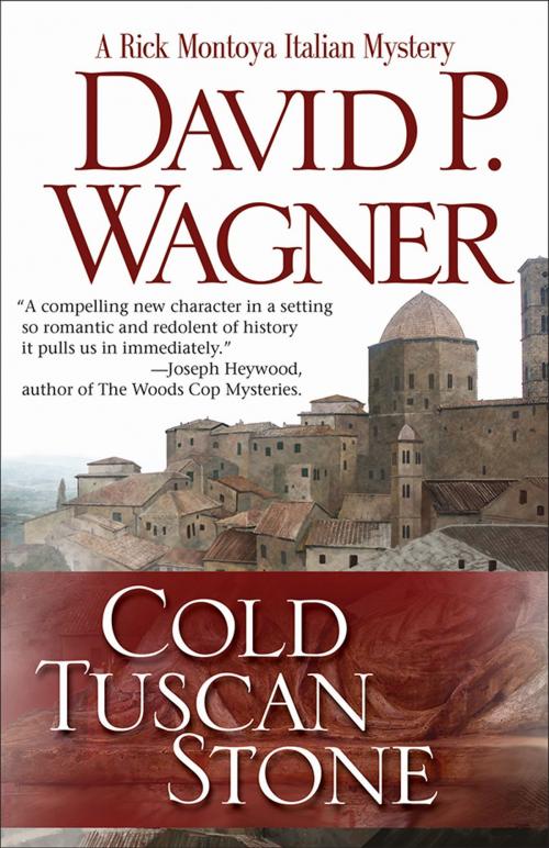 Cover of the book Cold Tuscan Stone by David P Wagner, Sourcebooks