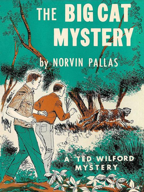 Cover of the book The Big Cat Mystery by Norvin Pallas, Wildside Press LLC