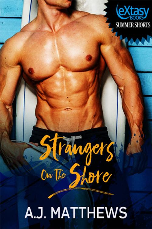 Cover of the book Strangers on the Shore by A.J. Matthews, eXtasy Books Inc