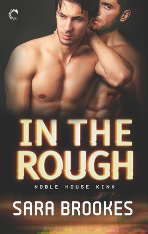 Cover of the book In the Rough by Sara Brookes, Carina Press