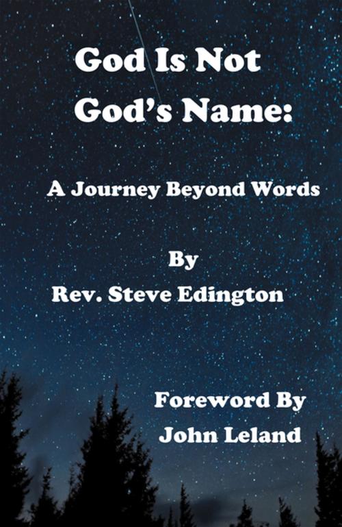 Cover of the book God Is Not God’S Name by Rev. Steve Edington, Trafford Publishing