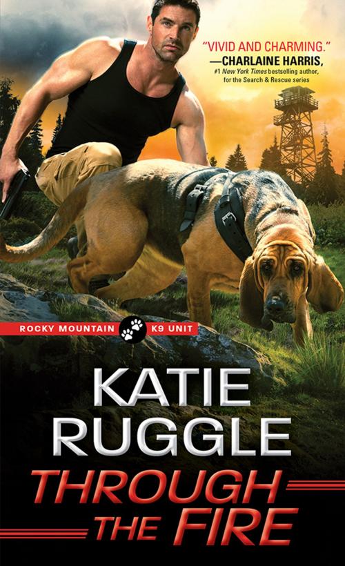 Cover of the book Through the Fire by Katie Ruggle, Sourcebooks