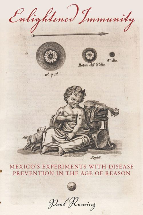 Cover of the book Enlightened Immunity by Paul Ramírez, Stanford University Press