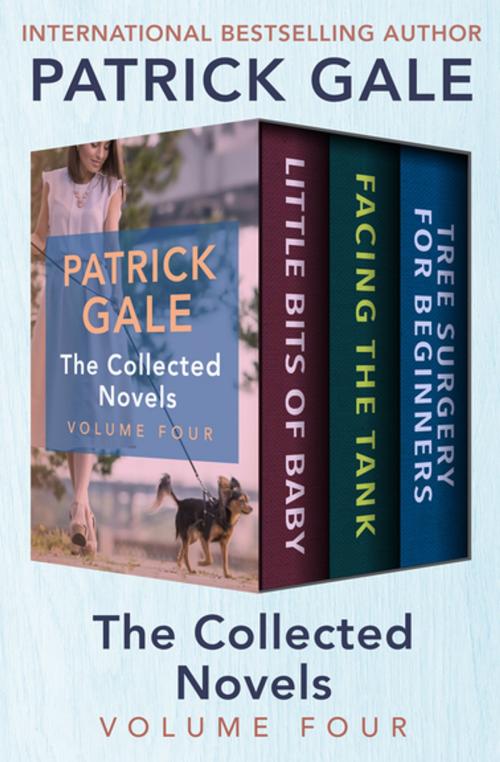 Cover of the book The Collected Novels Volume Four by Patrick Gale, Open Road Media