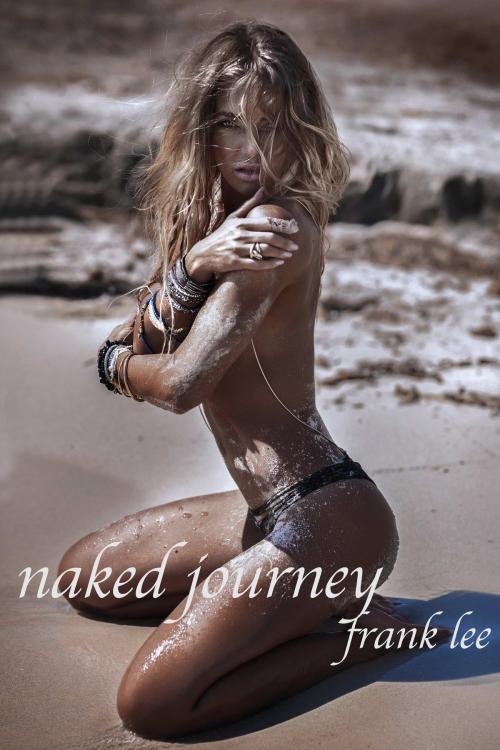 Cover of the book Naked Journey by Frank Lee, Excessica