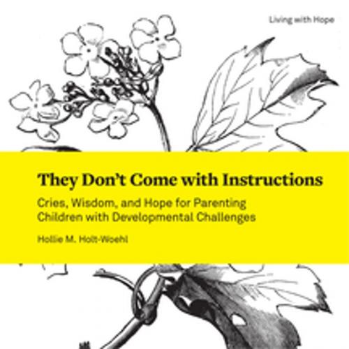 Cover of the book They Don't Come with Instructions by Hollie M. Holt-Woehl, Fortress Press