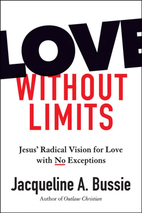 Cover of the book Love Without Limits by Jacqueline A. Bussie, Fortress Press
