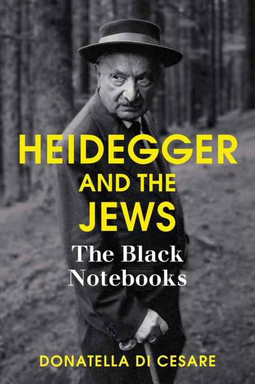 Cover of the book Heidegger and the Jews by Donatella Di Cesare, Wiley