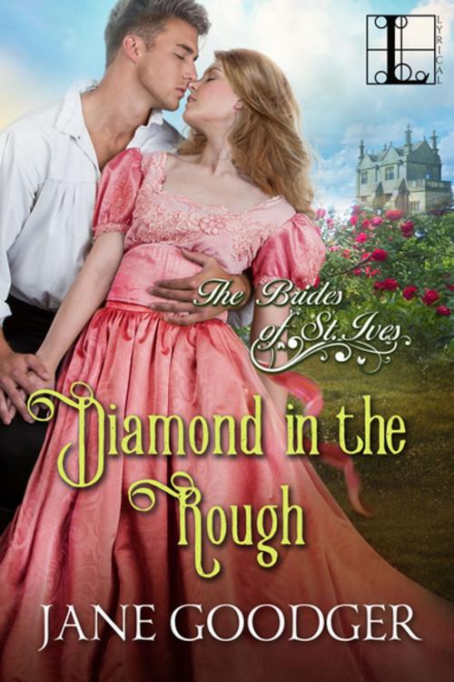 Cover of the book Diamond in the Rough by Jane Goodger, Lyrical Press