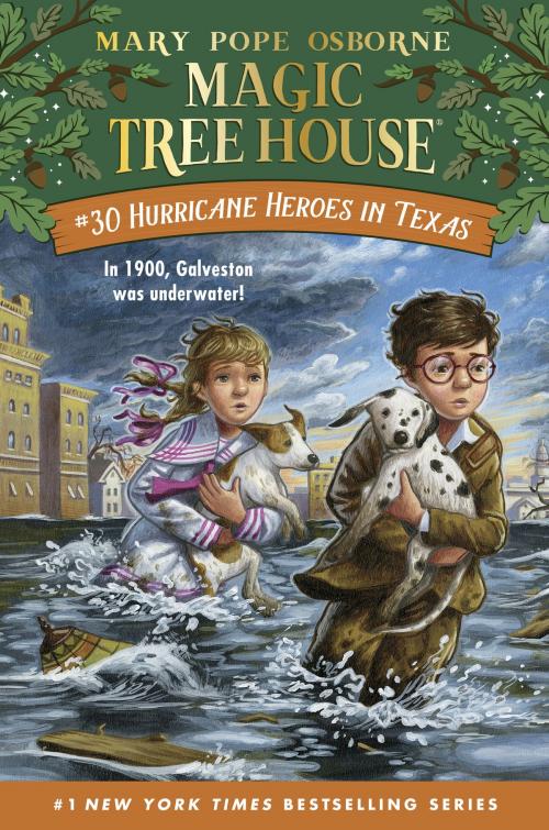 Cover of the book Hurricane Heroes in Texas by Mary Pope Osborne, Random House Children's Books
