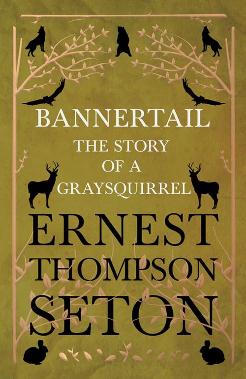 Cover of the book Bannertail - The Story of a Gray Squirrel by Ernest Thompson Seton, Read Books Ltd.