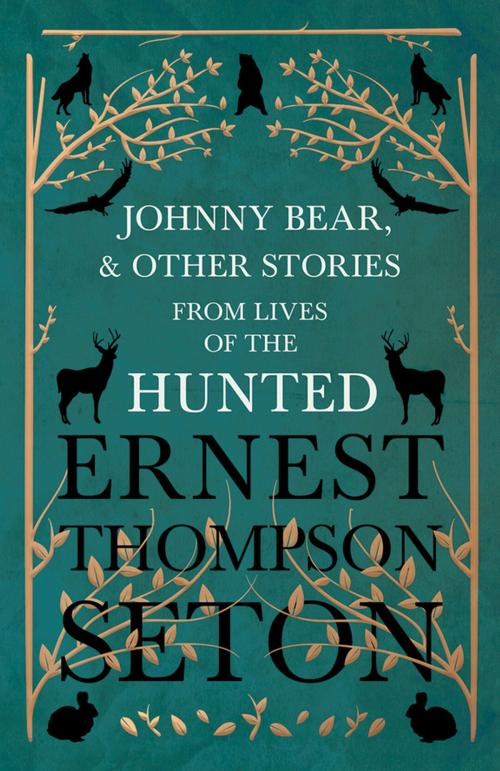 Cover of the book Johnny Bear, and Other Stories from Lives of the Hunted by Ernest Thompson Seton, Read Books Ltd.