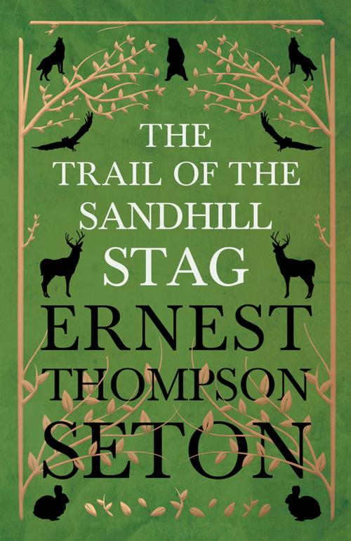 Cover of the book The Trail of the Sandhill Stag by Ernest Thompson Seton, Read Books Ltd.