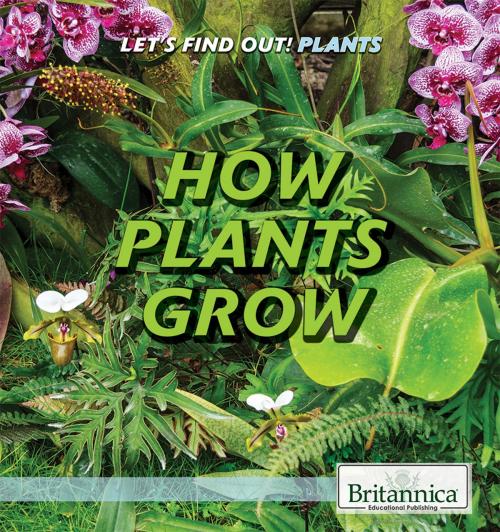 Cover of the book How Plants Grow by Britannica Educational Publishing, Britannica Educational Publishing