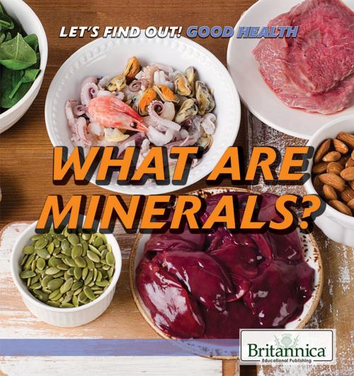Cover of the book What Are Minerals? by Britannica Educational Publishing, Britannica Educational Publishing