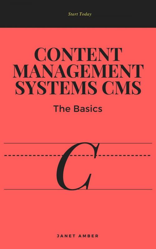 Cover of the book Content Management Systems CMS: The Basics by Janet Amber, Personal Growth