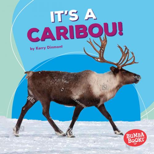 Cover of the book It's a Caribou! by Kerry Dinmont, Lerner Publishing Group