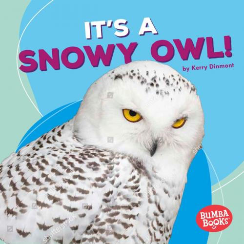 Cover of the book It's a Snowy Owl! by Kerry Dinmont, Lerner Publishing Group