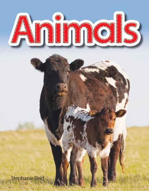 Cover of the book Animals by Reid Stephanie, Teacher Created Materials