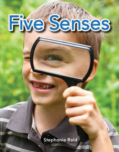 Cover of the book Five Senses by Reid Stephanie, Teacher Created Materials
