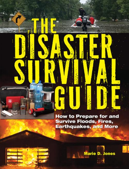 Cover of the book The Disaster Survival Guide by Marie D. Jones, Visible Ink Press