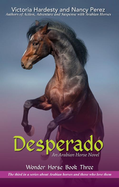 Cover of the book Desperado by Victoria Hardesty, Nancy Perez, Publication Consultants