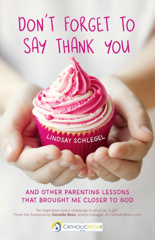 Cover of the book Don't Forget to Say Thank You by Lindsay Schlegel, Ave Maria Press