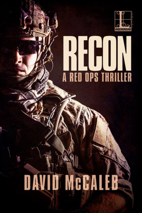 Cover of the book Recon by David McCaleb, Lyrical Press