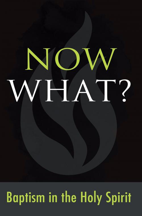Cover of the book Now What? Baptism in the Holy Spirit by Gospel Publishing House, Gospel Publishing House