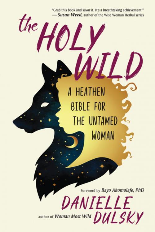 Cover of the book The Holy Wild by Danielle Dulsky, New World Library