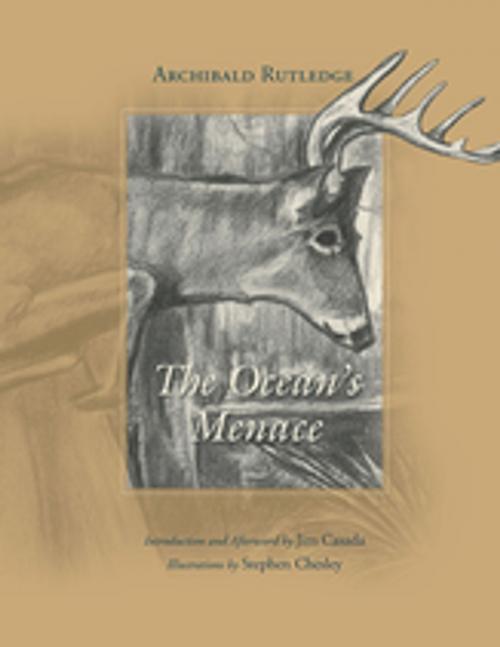 Cover of the book The Ocean's Menace by Archibald Rutledge, University of South Carolina Press