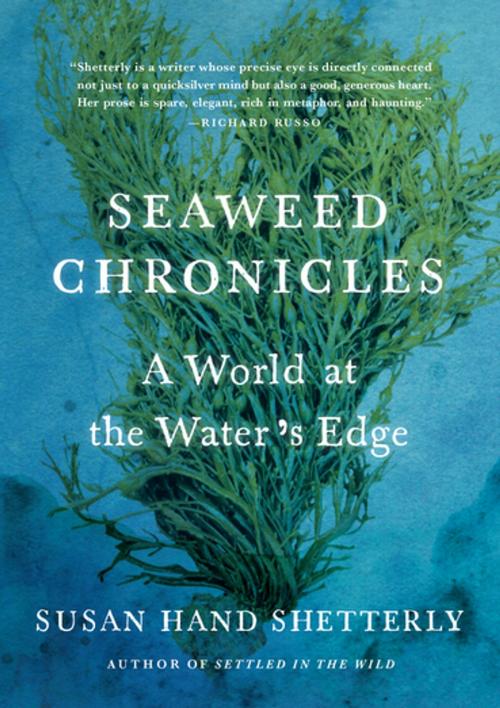 Cover of the book Seaweed Chronicles by Susan Hand Shetterly, Algonquin Books