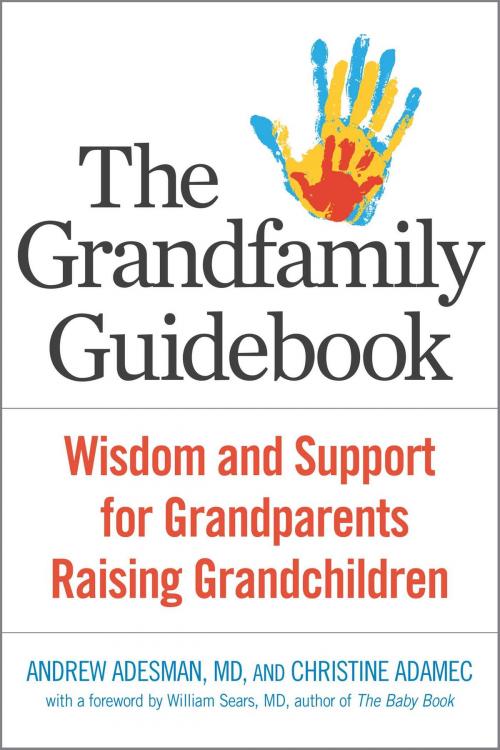 Cover of the book The Grandfamily Guidebook by Andrew Adesman, Christine Adamec, Hazelden Publishing