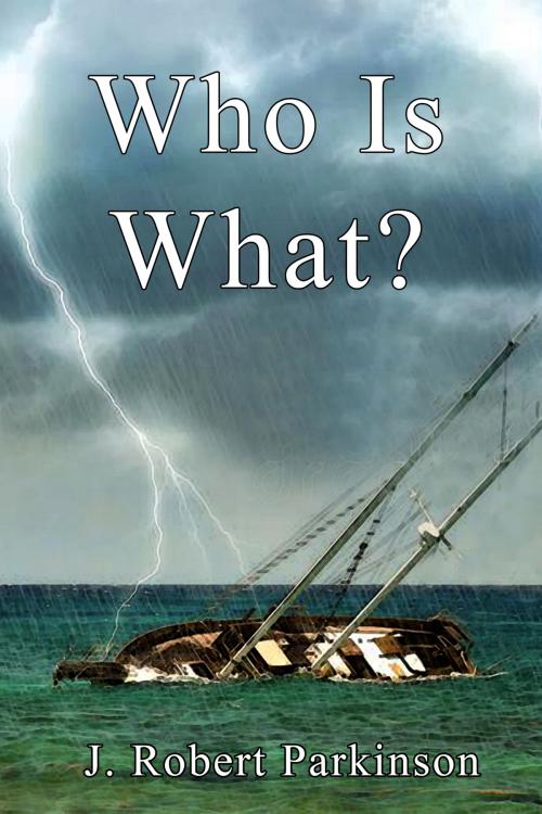 Cover of the book Who Is What? by J. Robert Parkinson, Ph.D., Black Opal Books