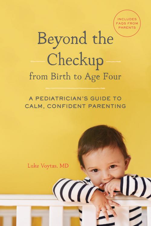 Cover of the book Beyond the Checkup from Birth to Age Four by Luke Voytas, MD, Sasquatch Books