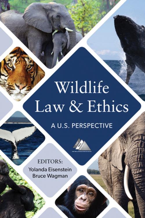 Cover of the book Wildlife Law & Ethics by Yolanda Eisenstein, Bruce Wagman, American Bar Association