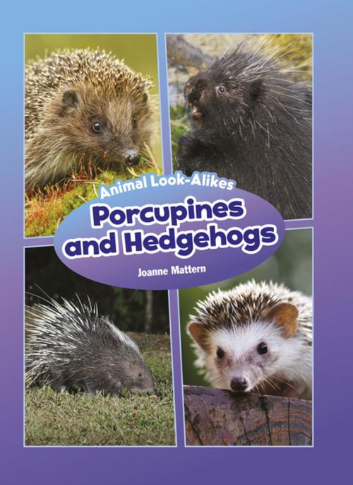 Cover of the book Porcupines and Hedgehogs by Joanne Mattern, Red Chair Press