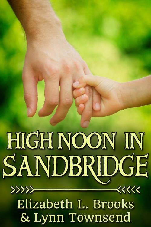 Cover of the book High Noon in Sandbridge by Elizabeth L. Brooks, JMS Books LLC