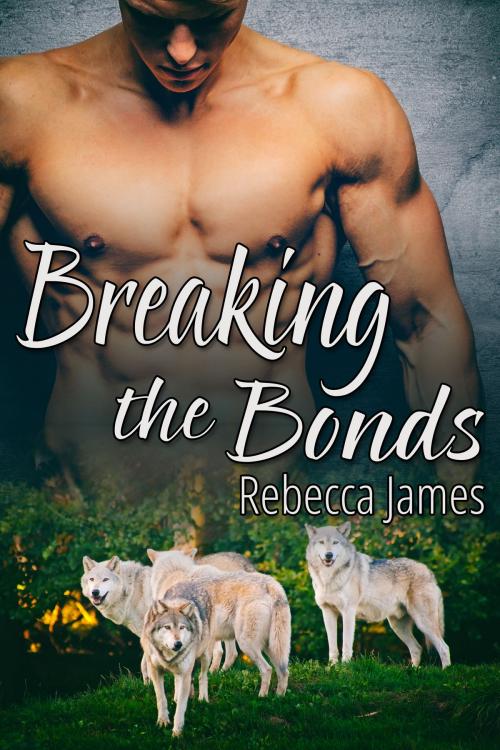 Cover of the book Breaking the Bonds by Rebecca James, JMS Books LLC