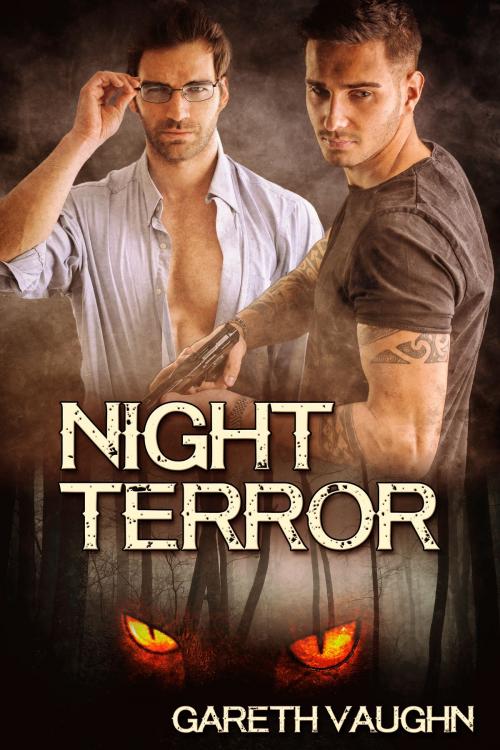 Cover of the book Night Terror by Gareth Vaughn, JMS Books LLC