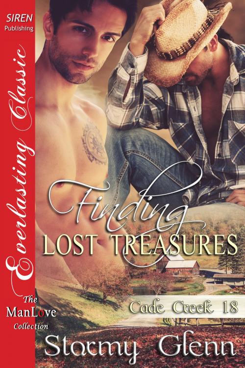 Cover of the book Finding Lost Treasures by Stormy Glenn, Siren-BookStrand