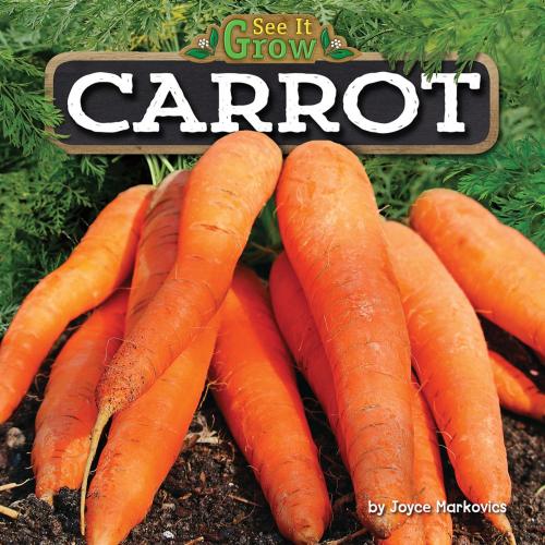 Cover of the book Carrot by Joyce Markovics, Bearport Publishing
