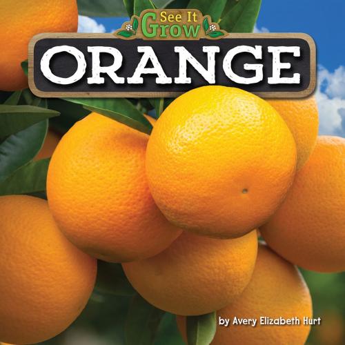 Cover of the book Orange by Avery Hurt, Bearport Publishing