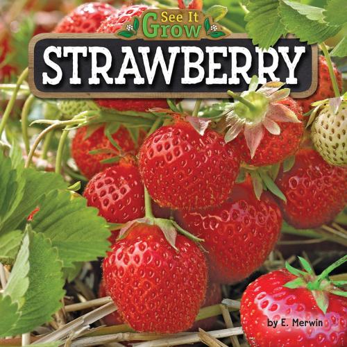 Cover of the book Strawberry by E. Merwin, Bearport Publishing