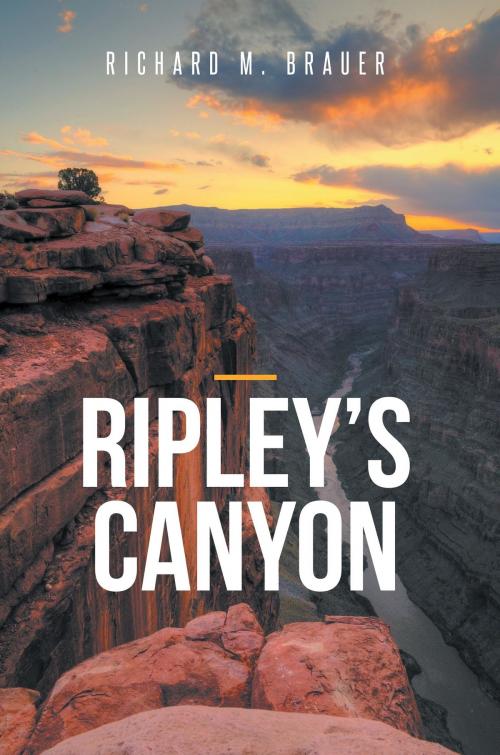 Cover of the book Ripley's Canyon by Richard M. Brauer, Westwood Books Publishing LLC