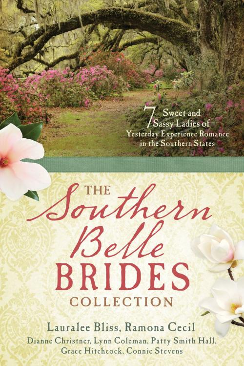 Cover of the book The Southern Belle Brides Collection by Lauralee Bliss, Ramona K. Cecil, Dianne Christner, Lynn A. Coleman, Patty Smith Hall, Grace Hitchcock, Connie Stevens, Barbour Publishing, Inc.