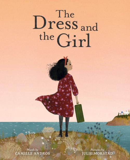 Cover of the book The Dress and the Girl by Camille Andros, ABRAMS