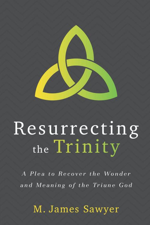 Cover of the book Resurrecting the Trinity by M. James Sawyer, Lexham Press