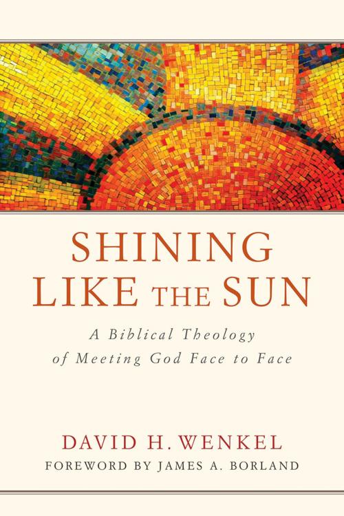 Cover of the book Shining Like the Sun by David H. Wenkel, Lexham Press